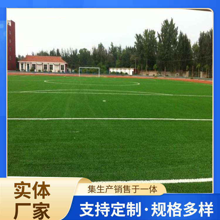 海东市硅PU人造草坪 - 排名